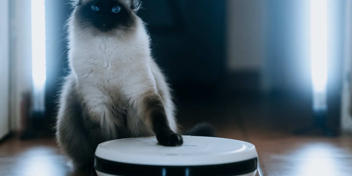 15 Best Robot Vacuum Cleaner Best Bloggers You Must Follow