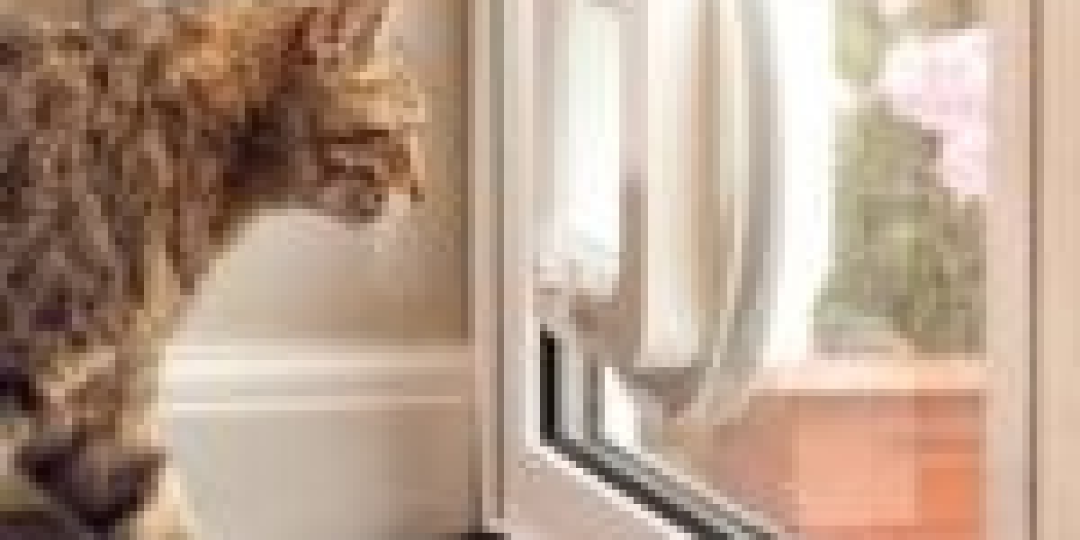 7 Small Changes You Can Make That'll Make A Huge Difference In Your Cat Flap Installation Tips
