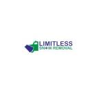 Limitless Snow Removal Profile Picture