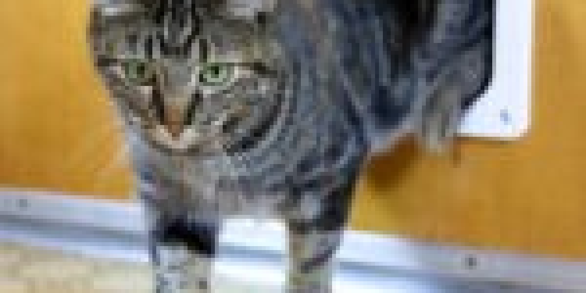 The Ultimate Guide To Cat Access Door Installer