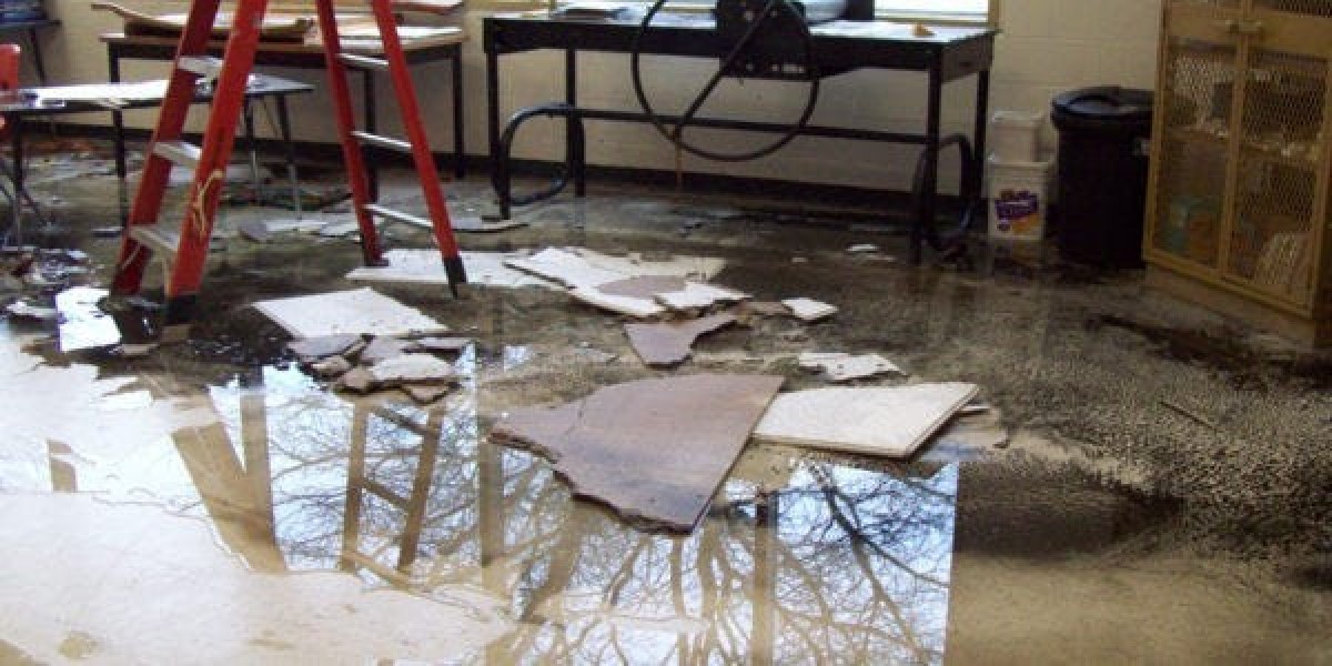 How Fast Action in Flood Damage Restoration Prevents Mould?